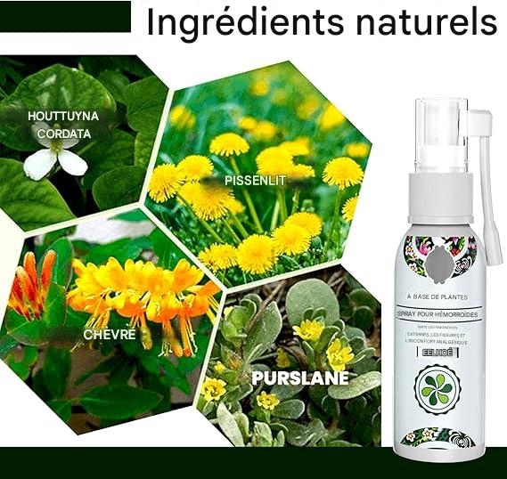 Spray Herbal contre les Hémorroïdes – Soulagement Naturel des Inconforts Anaux